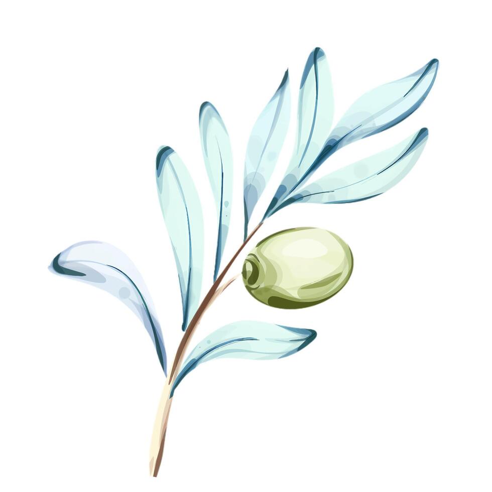 Exploring the elegance of olives and olive oil through watercolor illustrations inspired by Italian cuisine vector