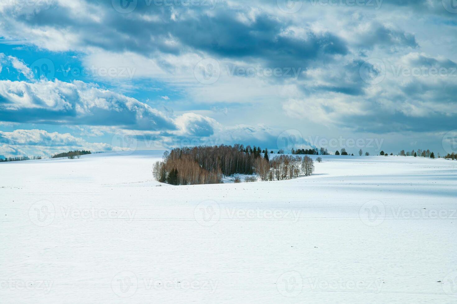 Capturing a beautiful winter landscape, featuring a snow-covered field and a tranquil forest beneath a cloudy sky, evokes a serene and peaceful atmosphere in nature's pristine setting photo