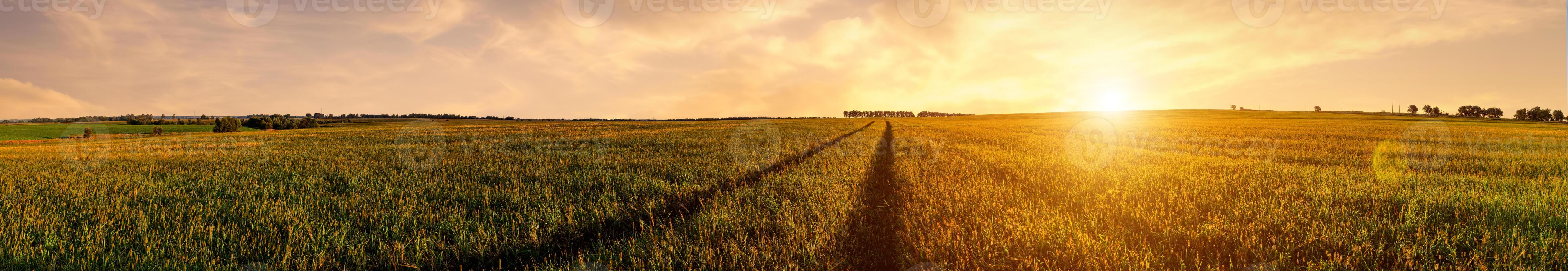 A field with a sun setting over it photo
