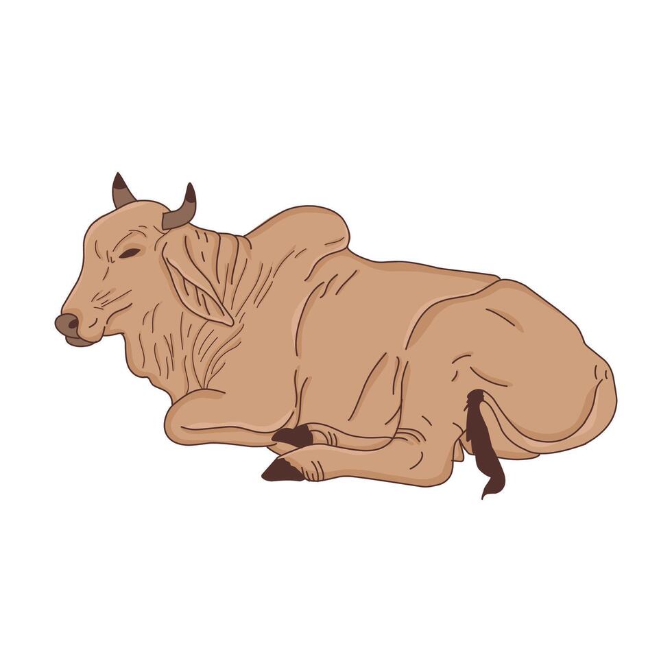 Resting Brown Cow Illustration Farm Animal Art vector