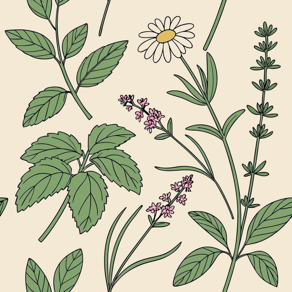Seamless pattern of fresh garden herbs and wildflowers, illustrated with fine lines and soft colors vector