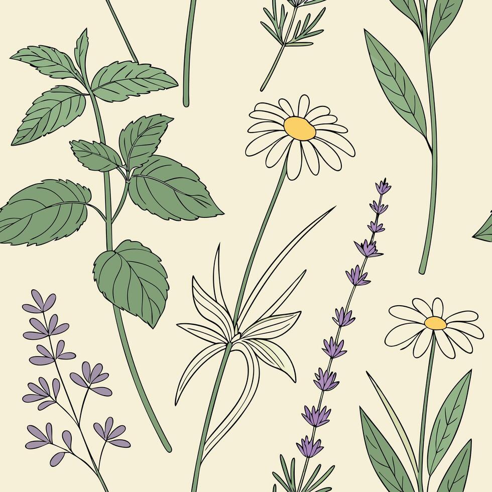 Seamless pattern of fresh garden herbs and wildflowers, illustrated with fine lines and soft vector