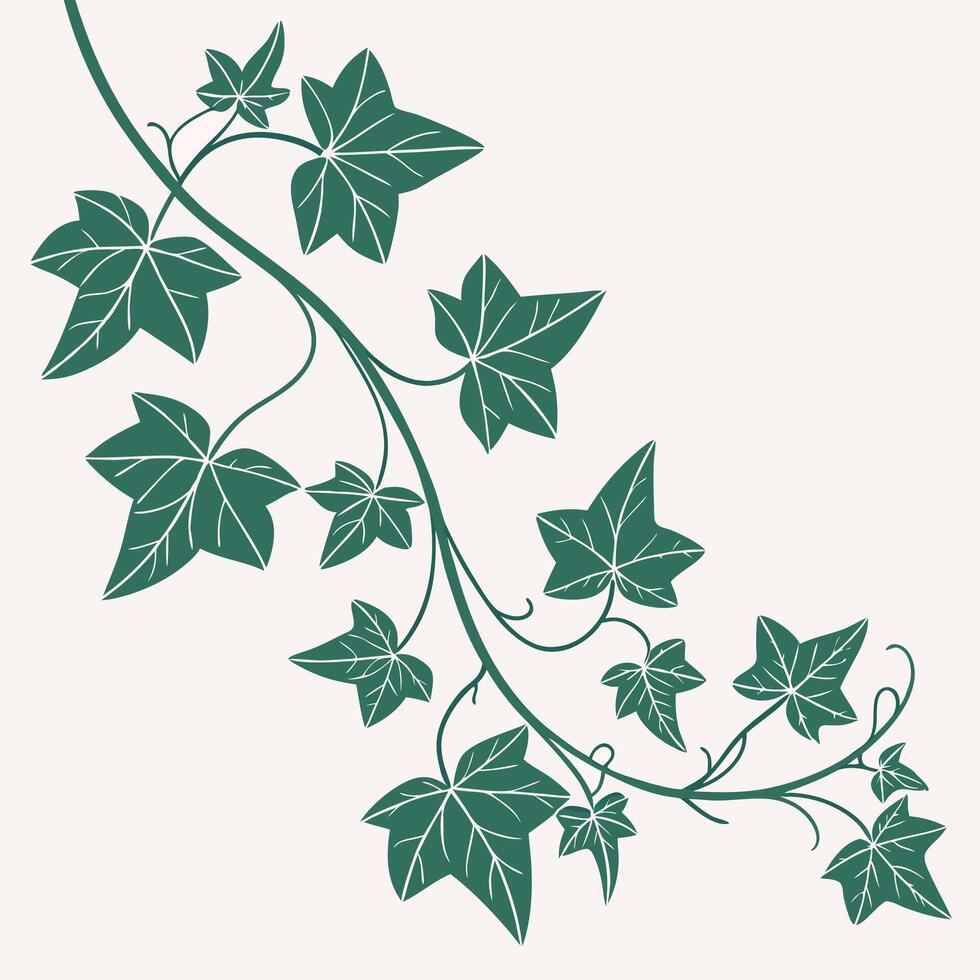 Seamless trailing ivy vines, flat green on light background, clean, airy vector