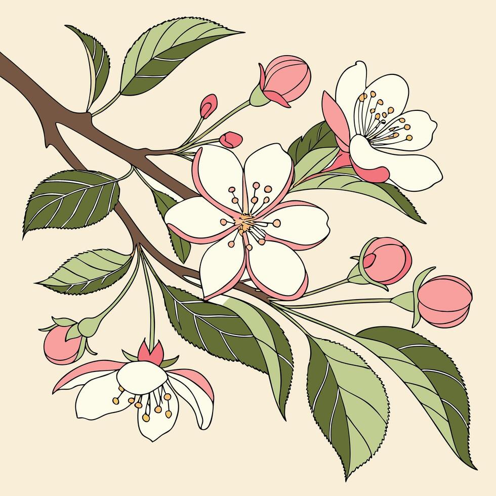 Illustrated floral pattern of apple blossoms, green sprigs and tiny buds, fresh growth theme vector