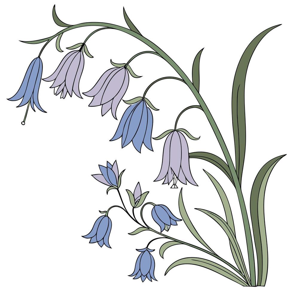Raindrop shaped floral clusters bluebells, monsoon lilies, and green tendrils vector