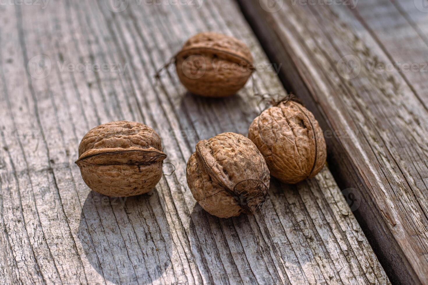 Closeup of four whole walnuts on aged wooden surface with natural textures and warm tones. Organic food, natural patterns, textures, and healthy nutrition. Copy space. Selective focus 01 photo