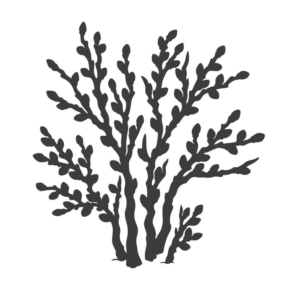Willow silhouette. Isolated outline illustration of willow bush. Single natural object from Signs of Spring collection for winter, spring or autumn season, background or landscape creation vector