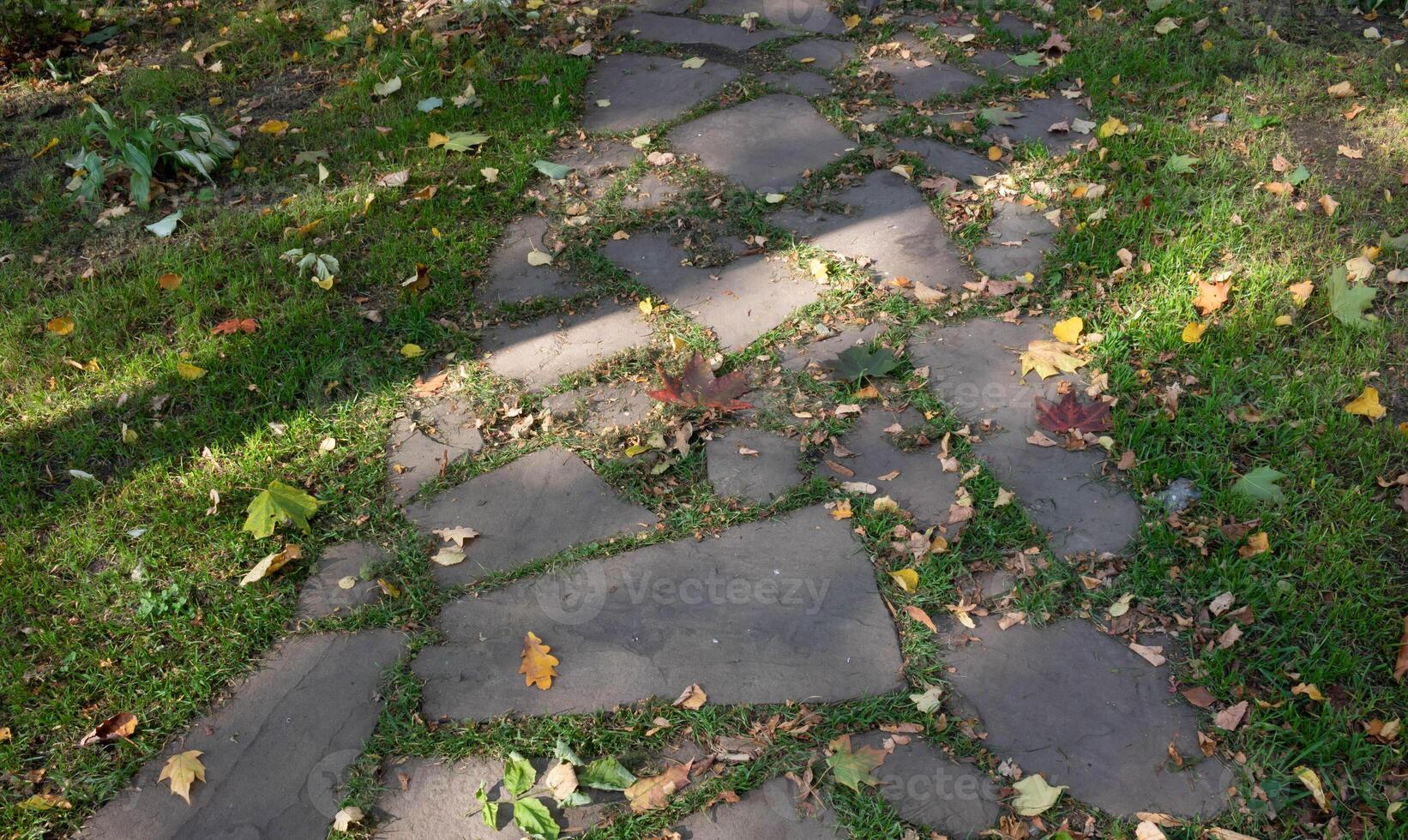 On a sunny day, there is a path in the grass made of concrete broken tiles. A stone-tiled parkway overgrown with grass. photo