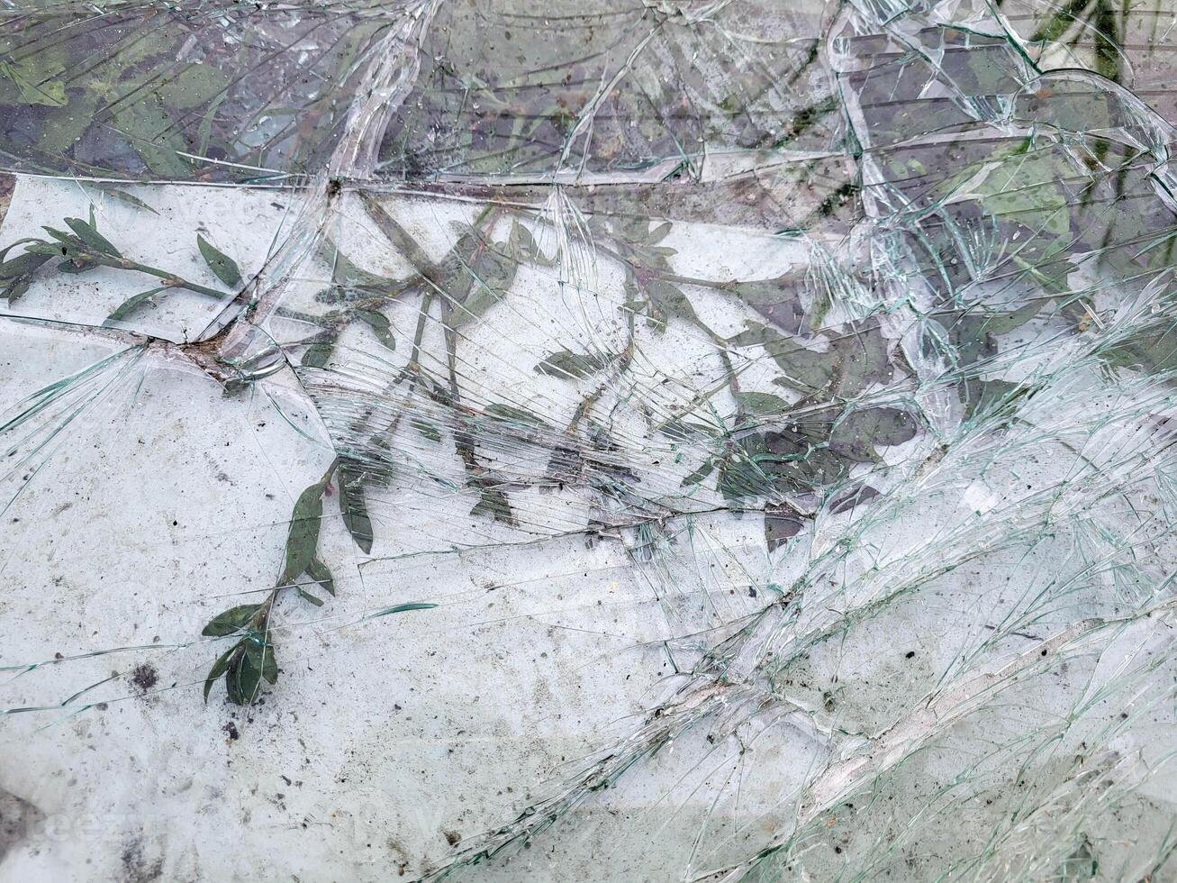 Broken and damaged glass is lying on the green spring grass for recycling. photo