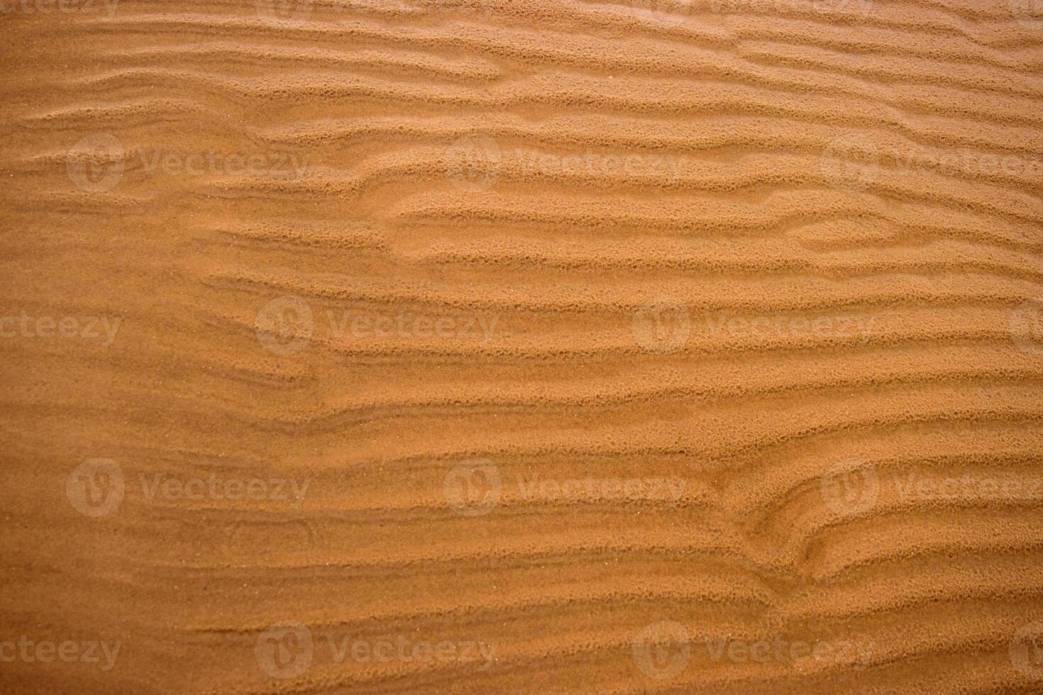 Closeup of sand ripples on a beach. Natural rhythmic wave like pattern formed by wind and water. Textured background displaying the delicate wavy texture of coastal landscape 02 photo