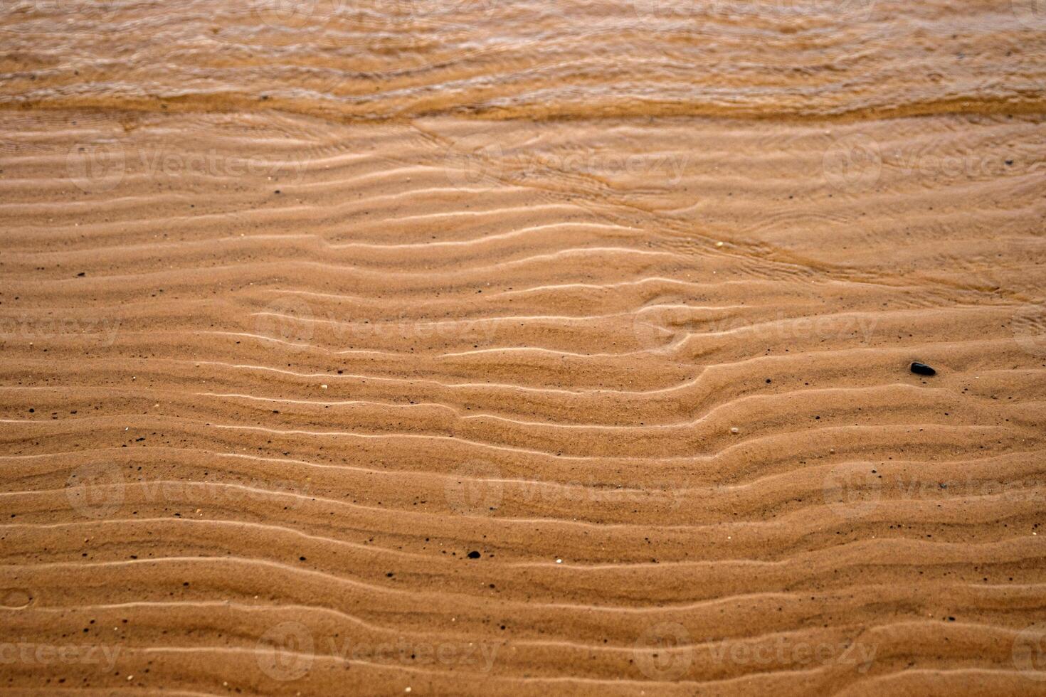 Closeup of sand ripples on a beach. Natural rhythmic wave like pattern formed by wind and water. Textured background displaying the delicate wavy texture of coastal landscape 03 photo