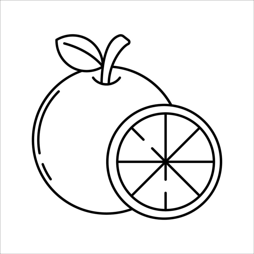 Orange Fruit Outline style whole orange with slice perfect for vitamin C concept in health food and sport nutrition content vector