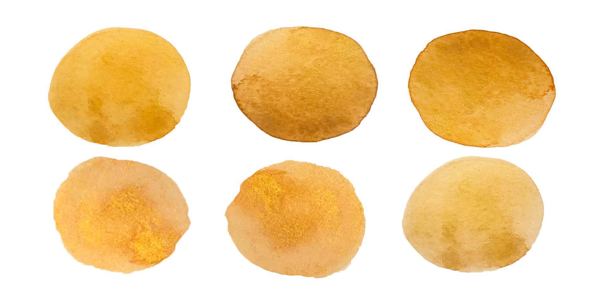 Elegant brown gold watercolor circles on a clean white backdrop showcase artistic variation vector