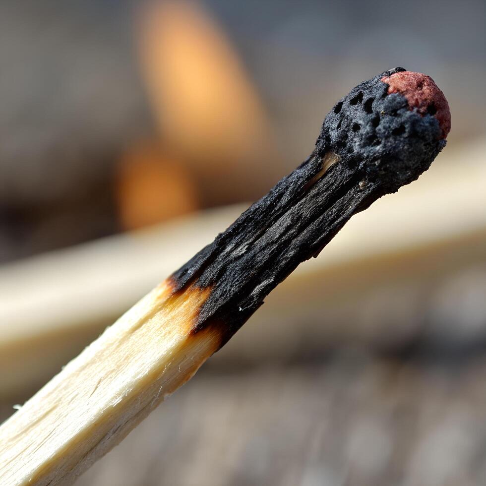 Macro Shot of Burnt Matchstick with Charred Head and Wooden Stem against Blurred Background photo
