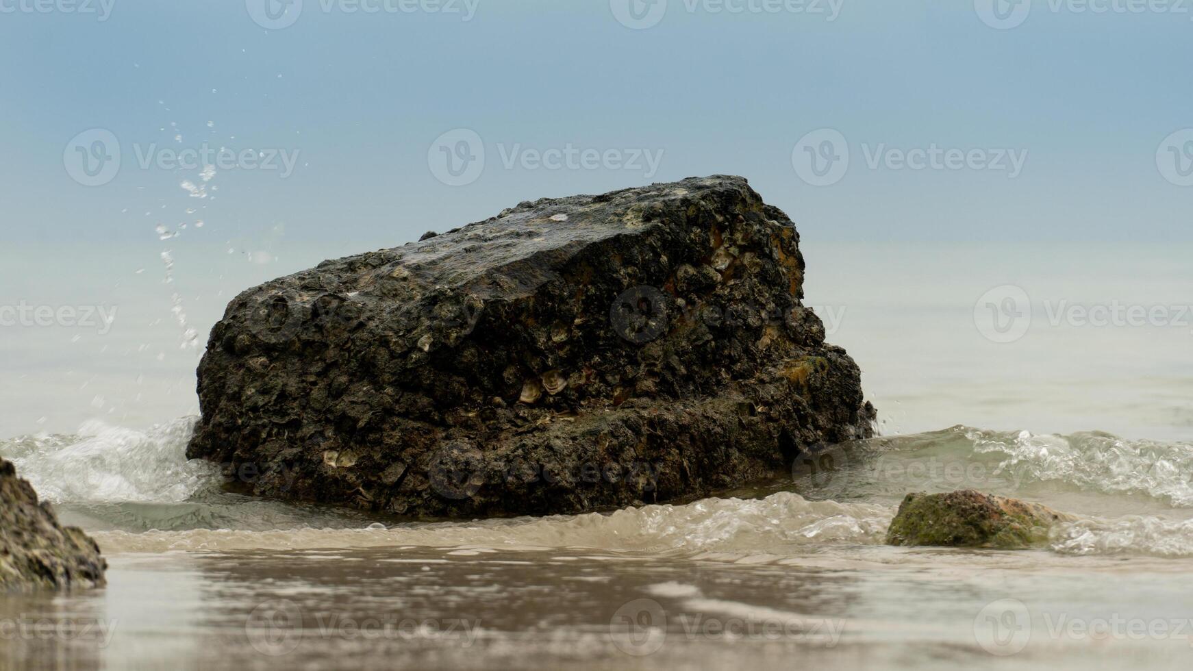 Large dark barnacle covered rock on a beach. Partially submerged in the shallow water. Waves gently lap around it and a smaller rock is visible nearby. Scene is natural and coastal. photo
