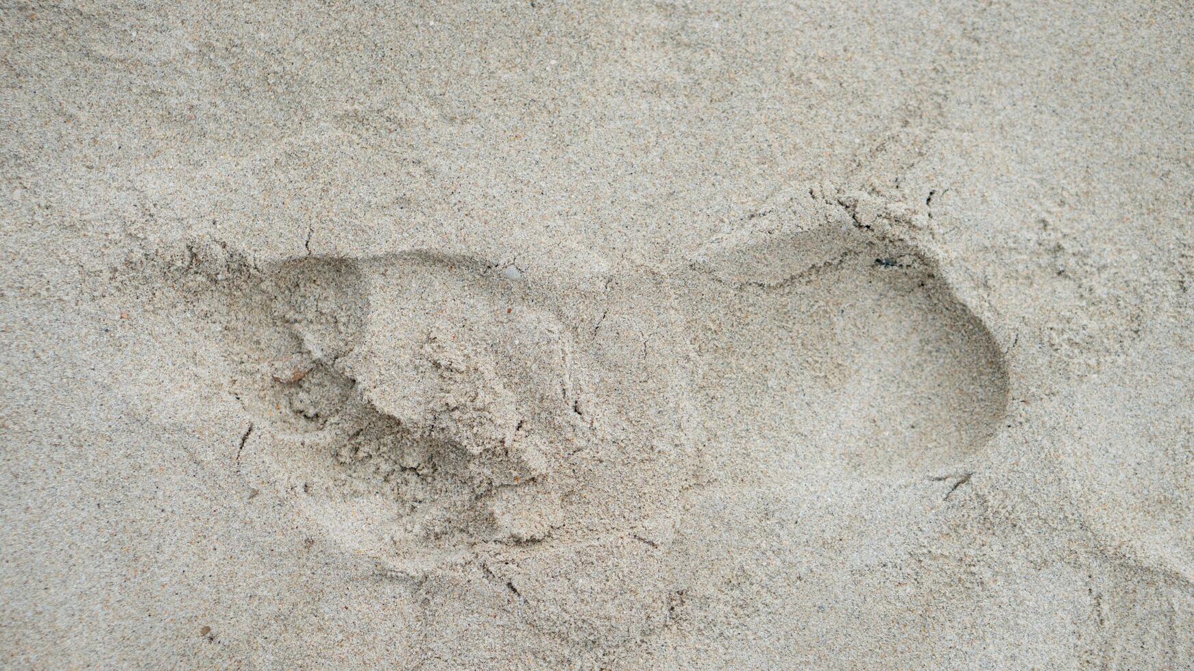 Above view of single footprints of people on the sandy beach. for background and textured of dry beach. No.2 photo