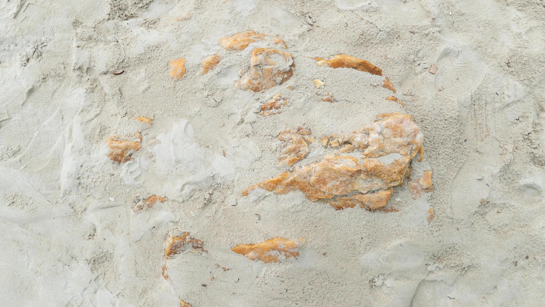Above view of rock sunk in fine sand. Surrounded by fine beach dry sand. photo