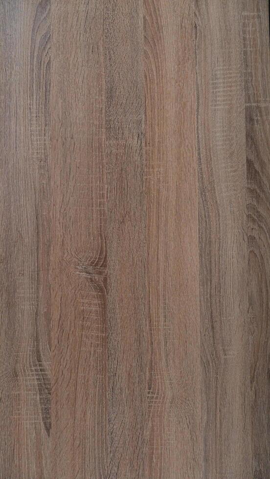 Soft colored oak wood texture pattern. for background and textured. photo