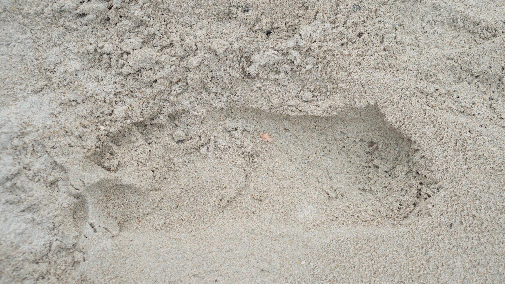 Above view of single footprints of people on the sandy beach. for background and textured of dry beach. No.3 photo