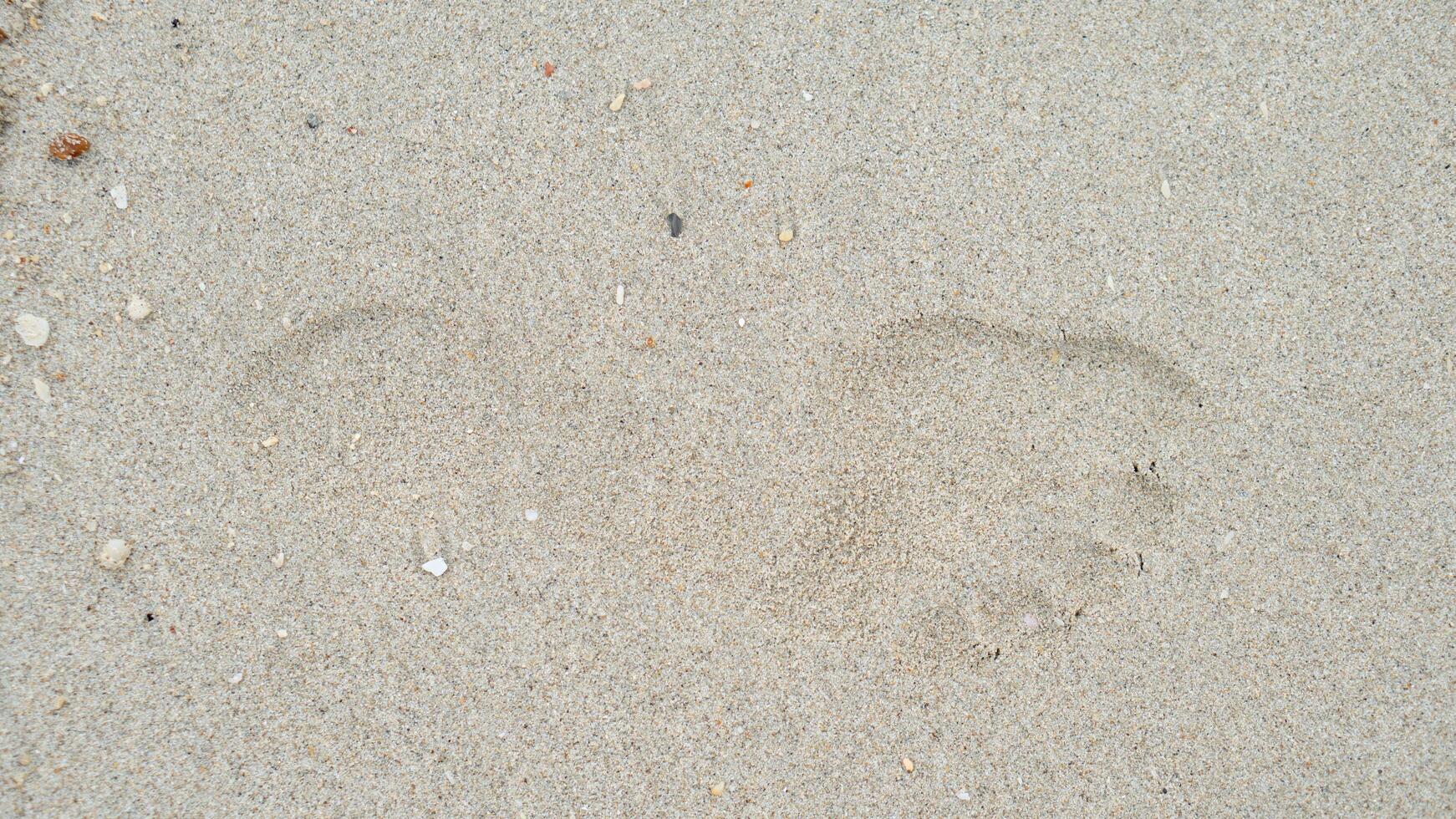 Above view of single footprints of people on the sandy beach. for background and textured of dry beach. photo