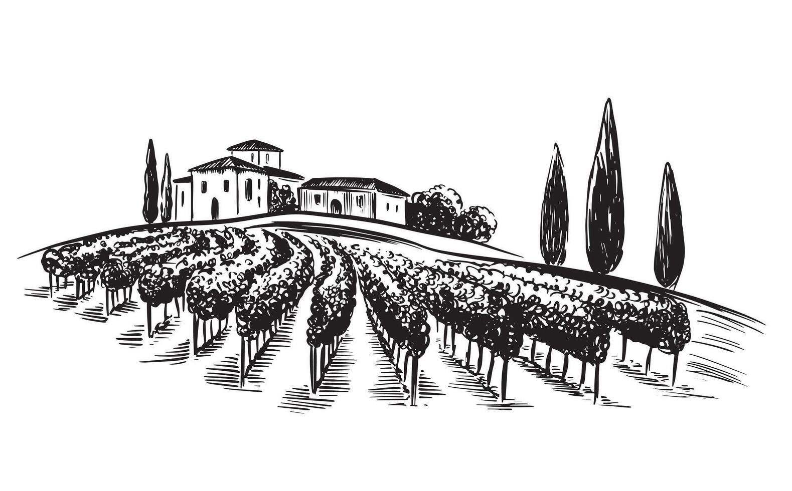 Wine plantation hills, trees, hand drawn illustration vector