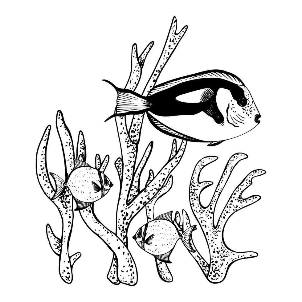 Composition with ocean underwater branch corals and tropical fishes. Illustration isolated on white background. Hand drawn graphic black and white sketch style. For clip art package vector