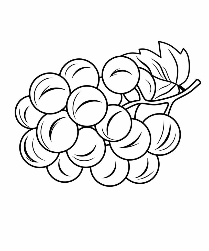 Grapes Outline Illustration for Coloring Page vector