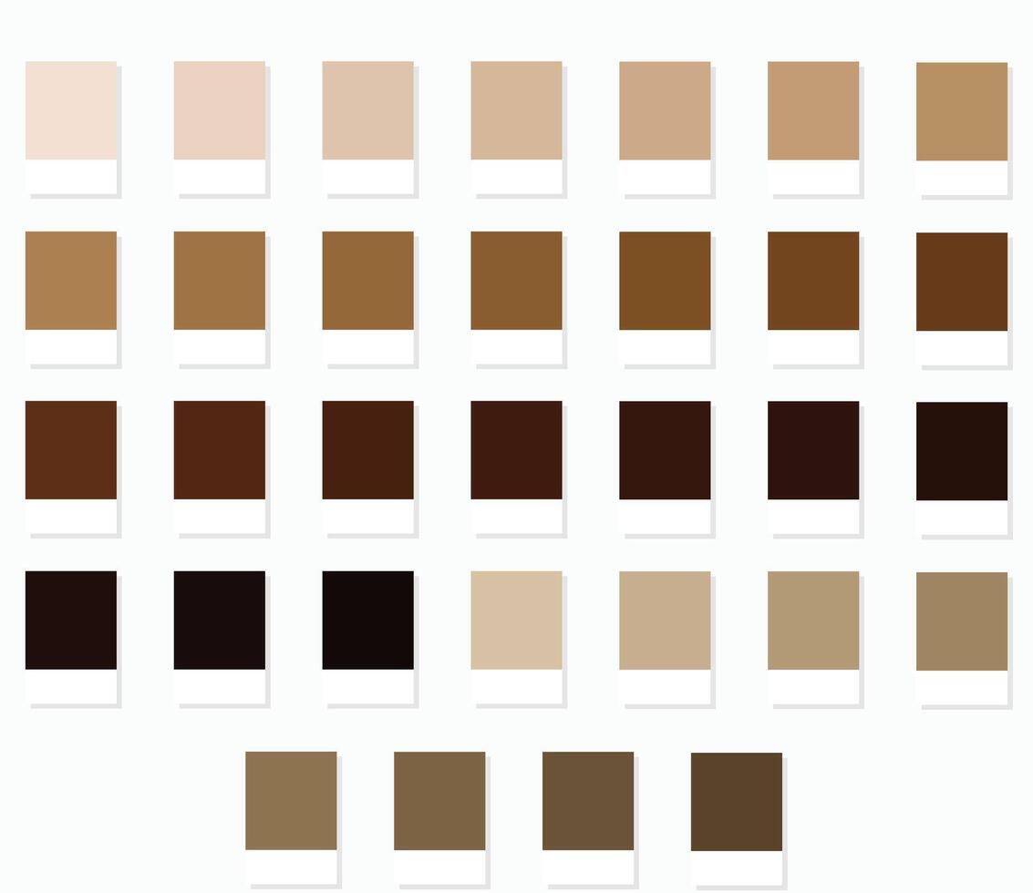Color Swatches 32 Clay and Terracotta Shades - 3d Light Faded Browns to Dark Deep Tones, Colour Palette, Scheme and Combinations vector