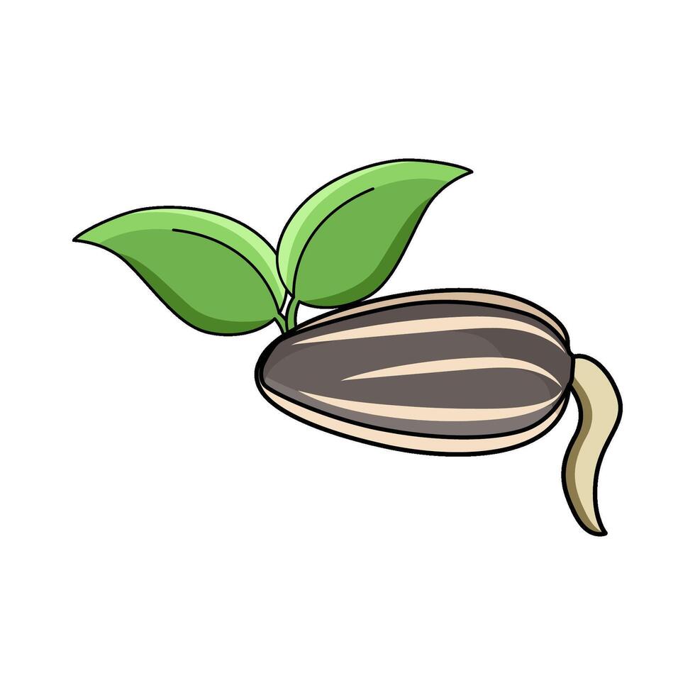 illustration of Sunflower Sprout vector