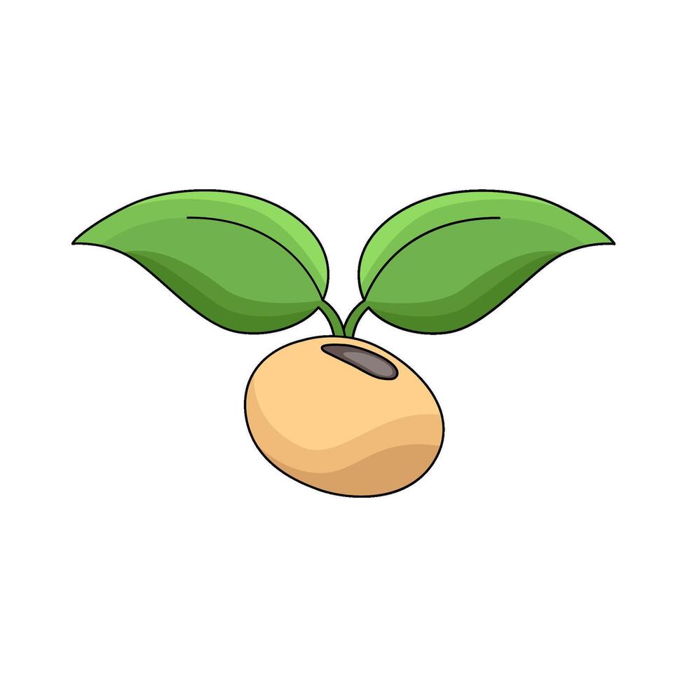 illustration of Bean Sprout vector