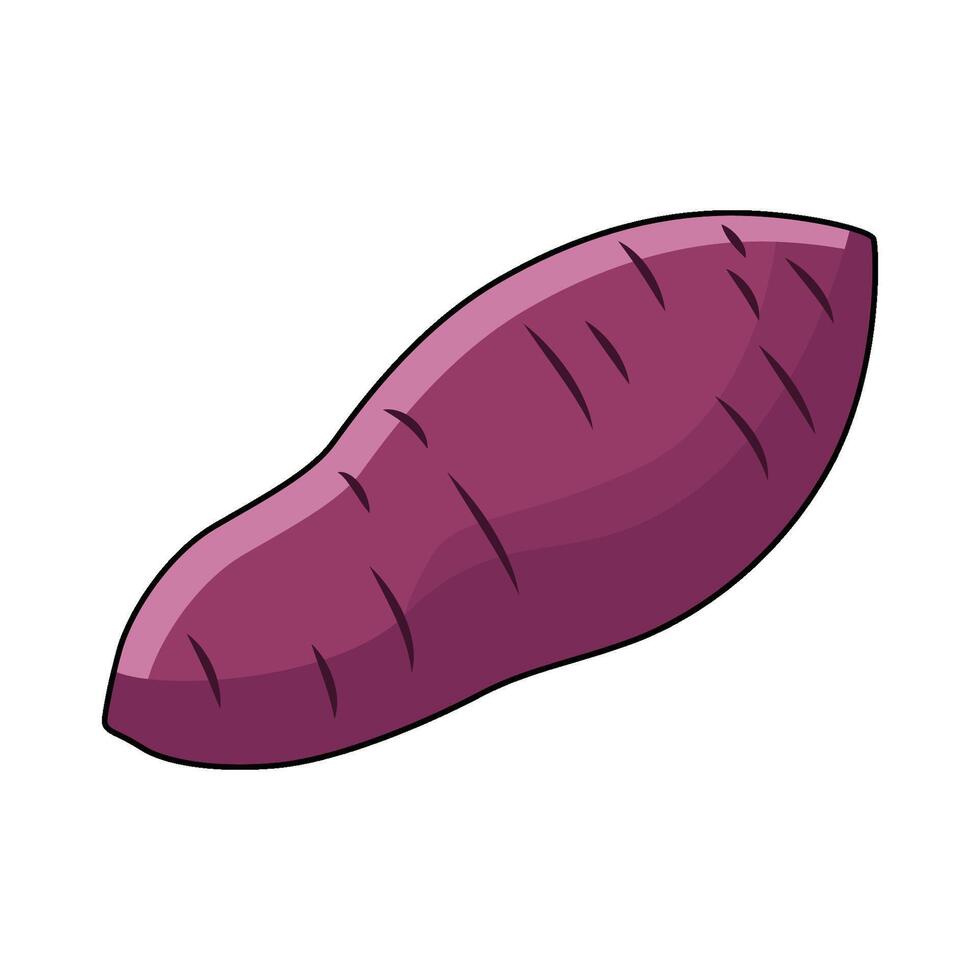 Purple Sweet Potato vector