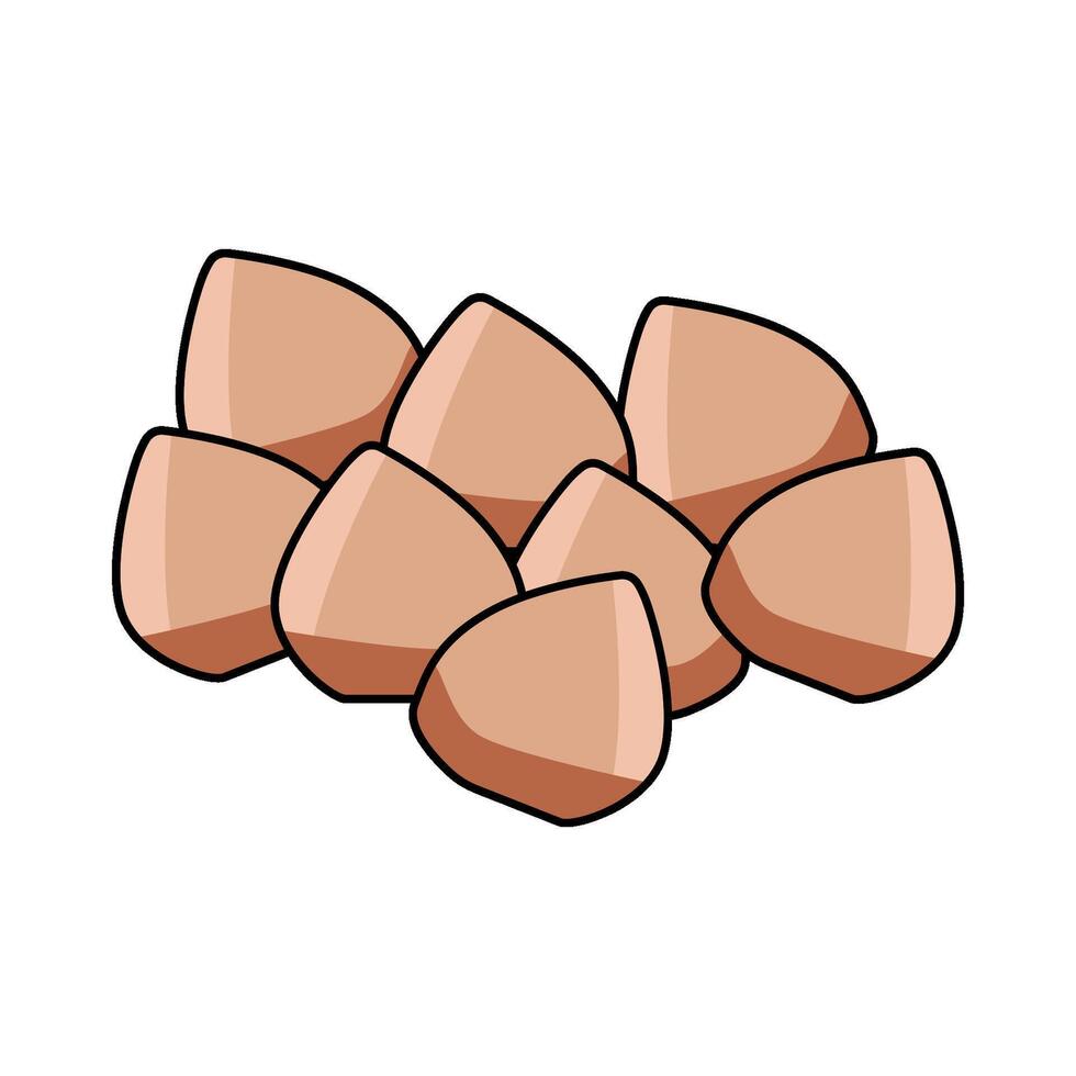 illustration of Buckwheat vector