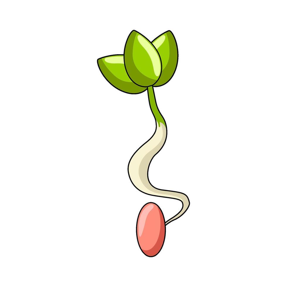 illustration of Pea Sprout vector