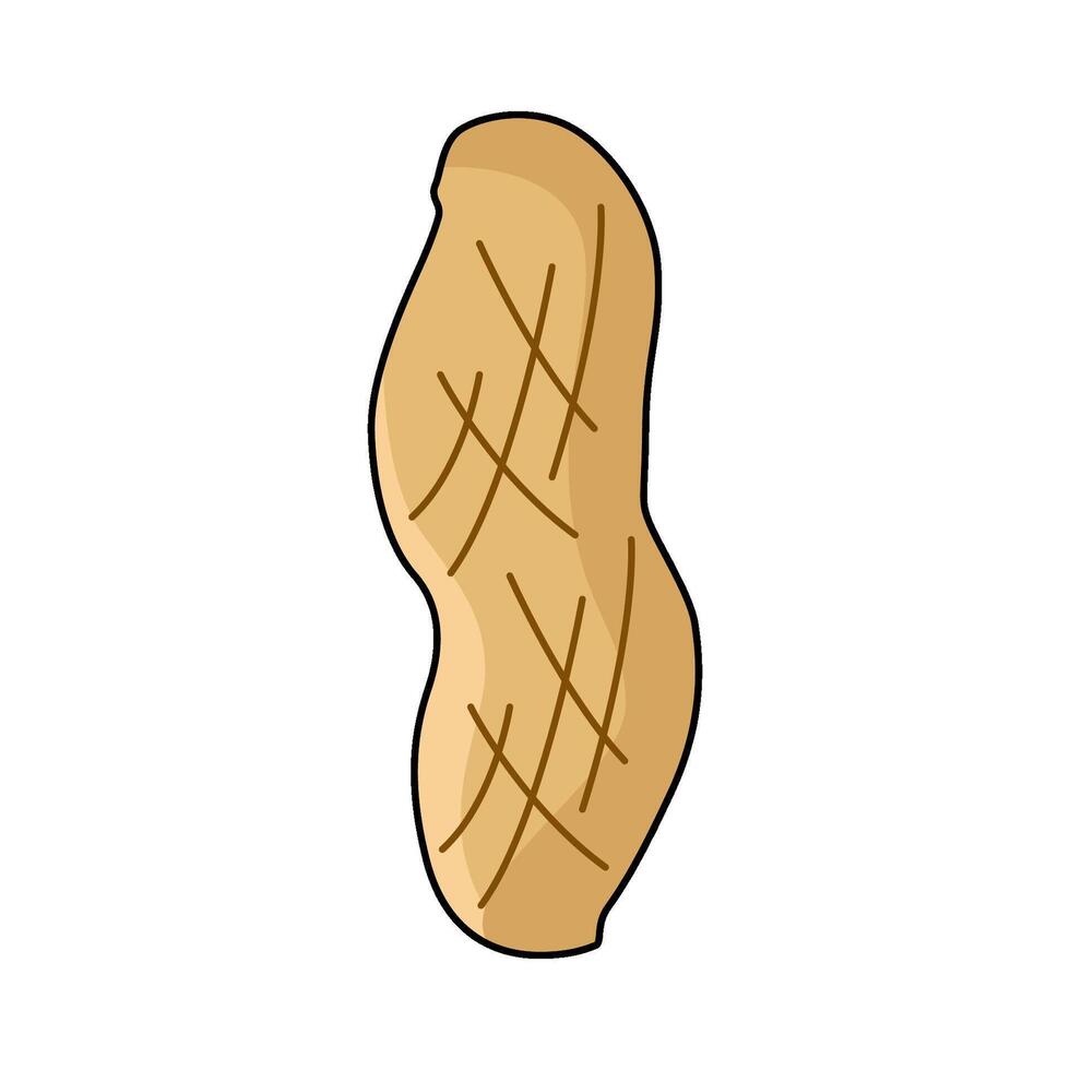 illustration of Peanuts vector