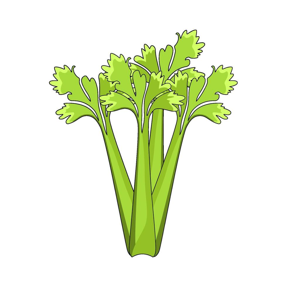 illustration of Celery vector