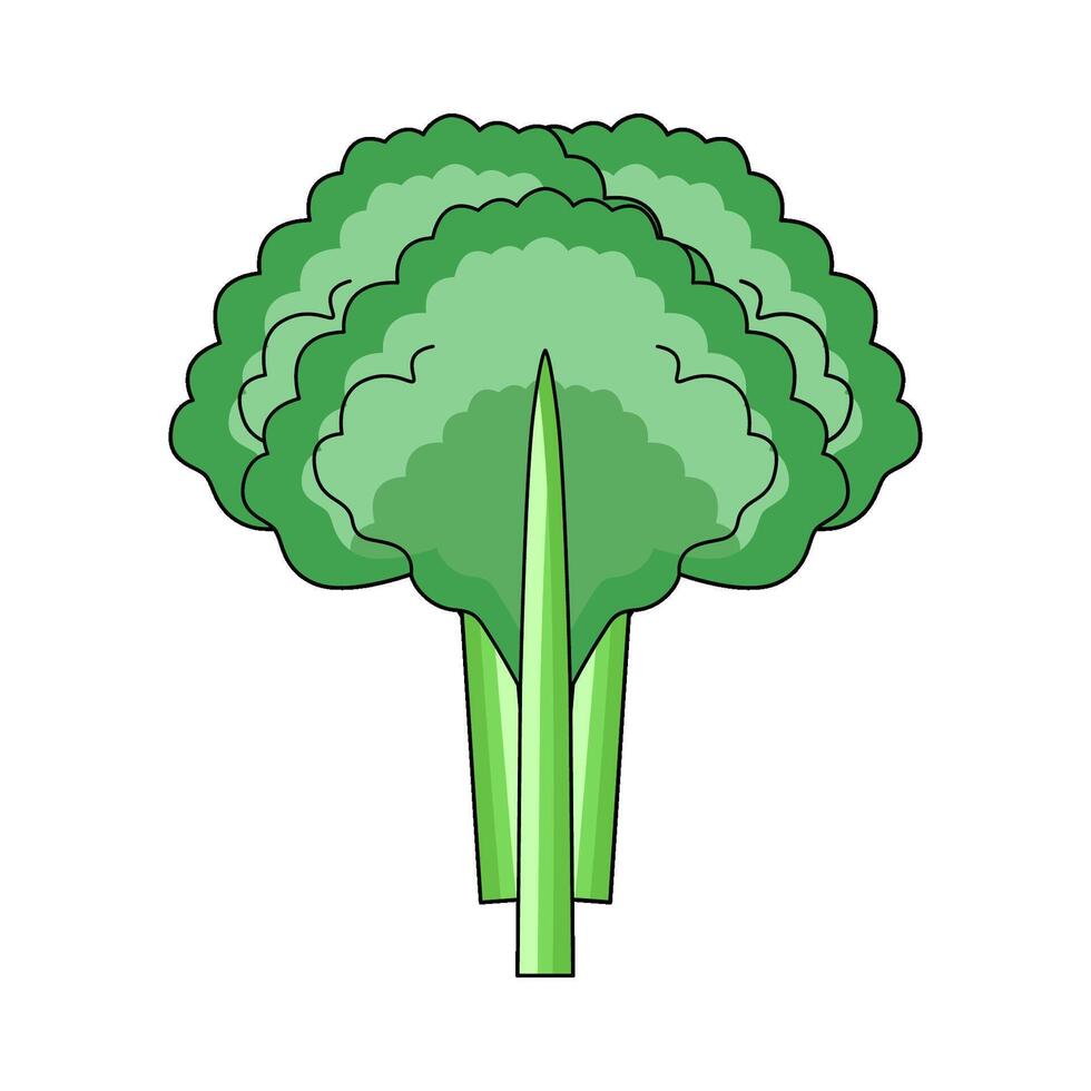 illustration of Kale vector