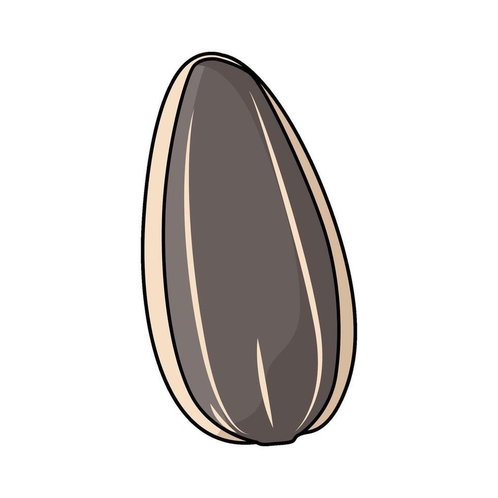 Sunflower Seed illustration vector