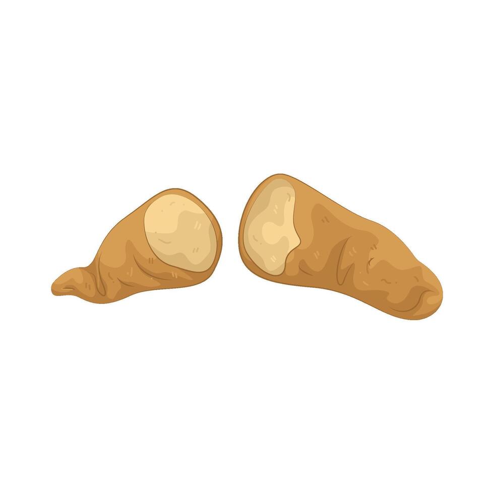 Broken Sweet Potato vector