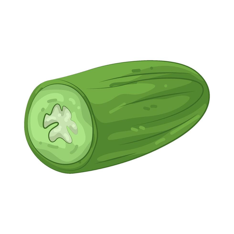Illustration of Half Cucumber vector