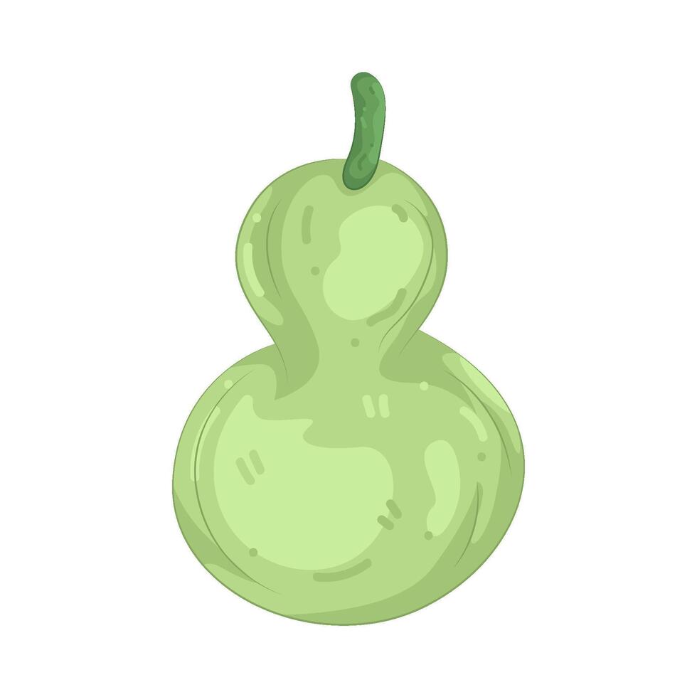 Illustration of Bottle Gourd vector