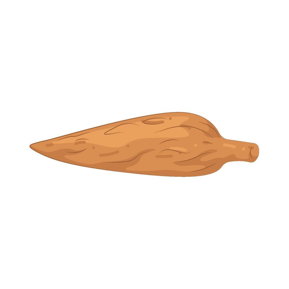 Illustration of Cassava vector