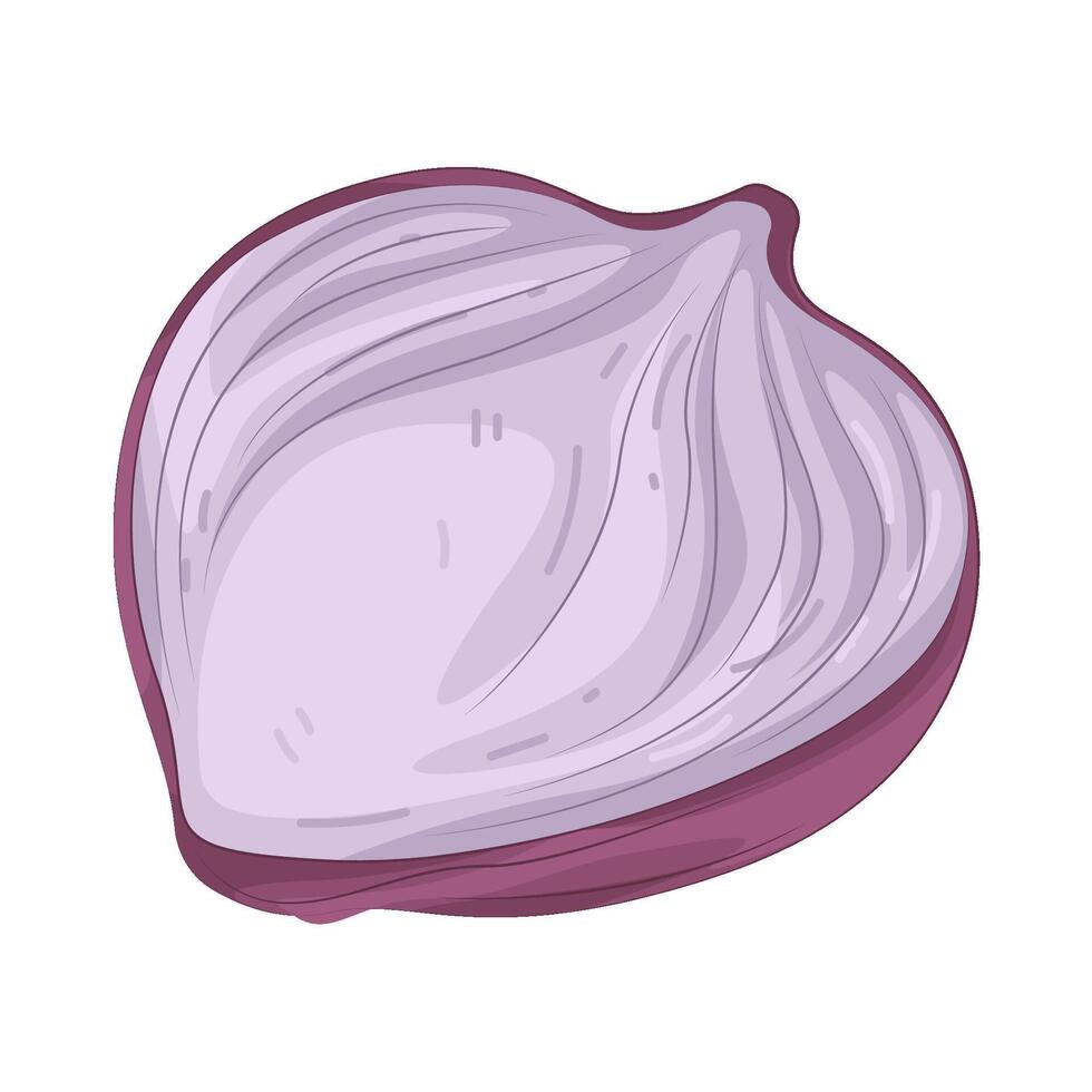 Illustration of Half Shallot vector