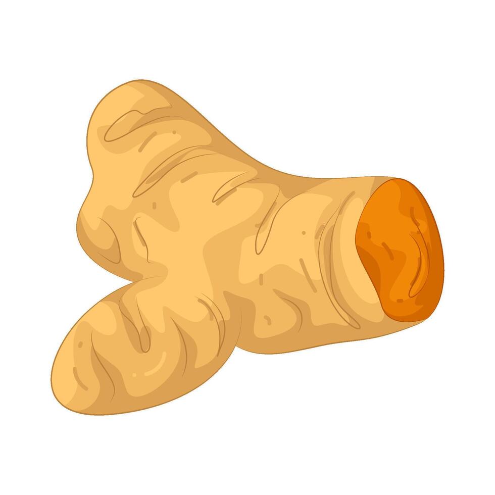 Illustration of Turmeric vector