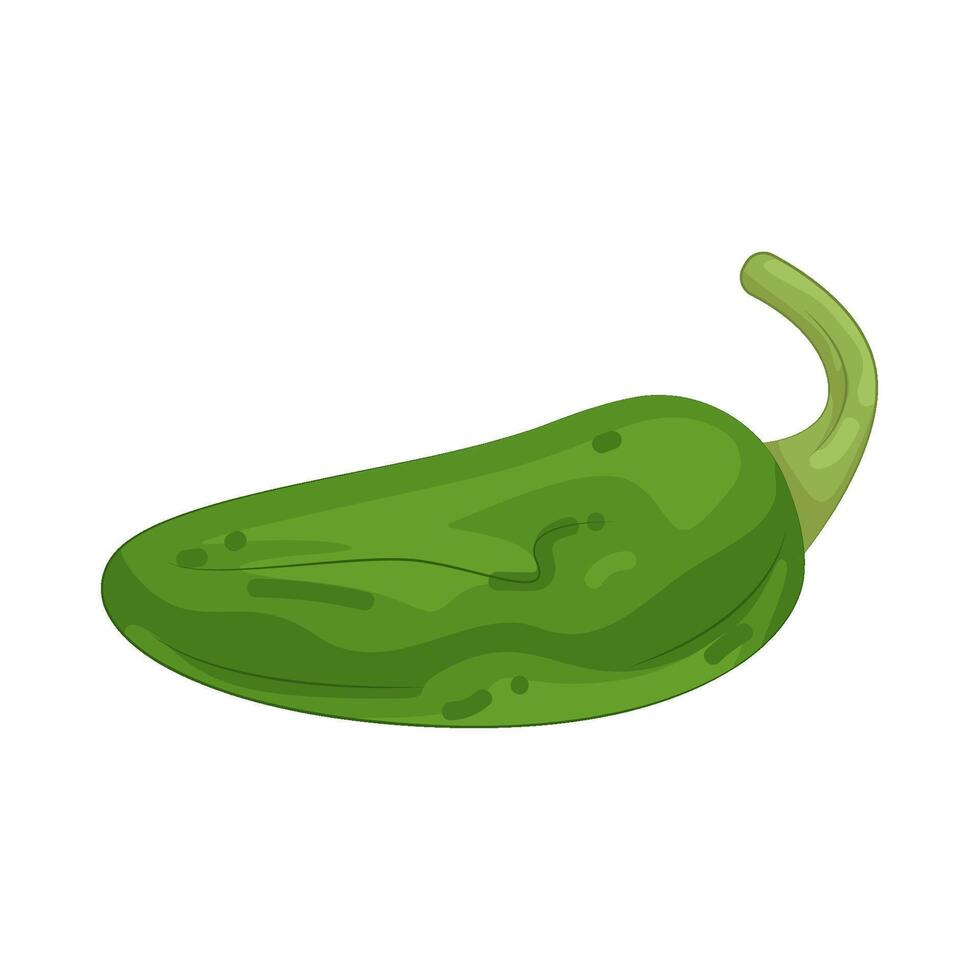green chili pepper vector