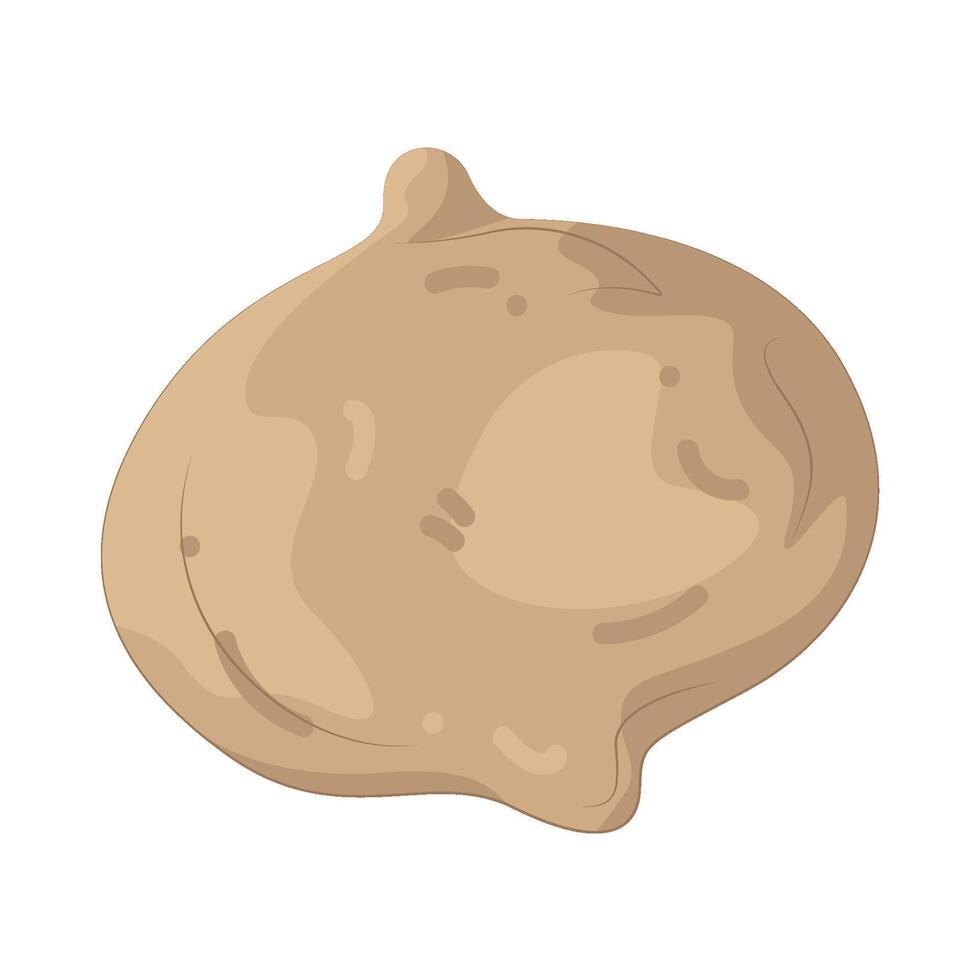 Illustration of Jicama vector
