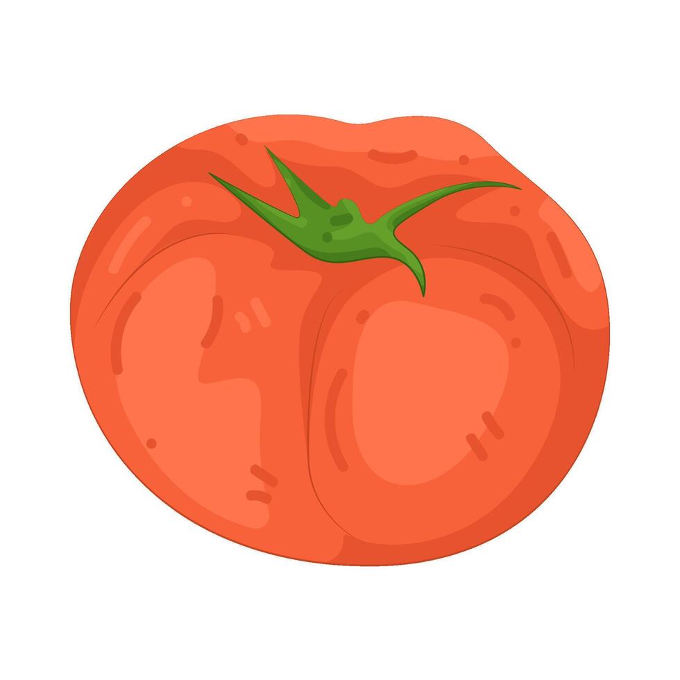 Illustration of Fresh Tomato vector