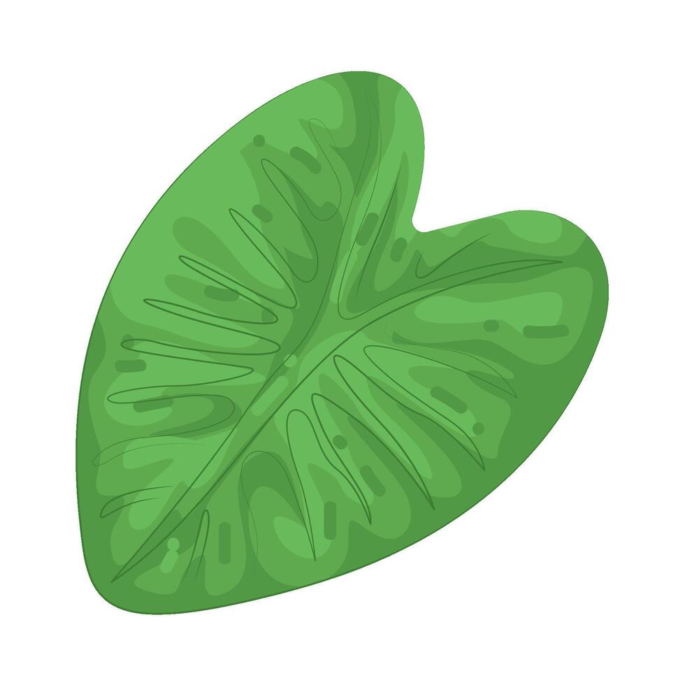 Illustration of Taro Leaves vector