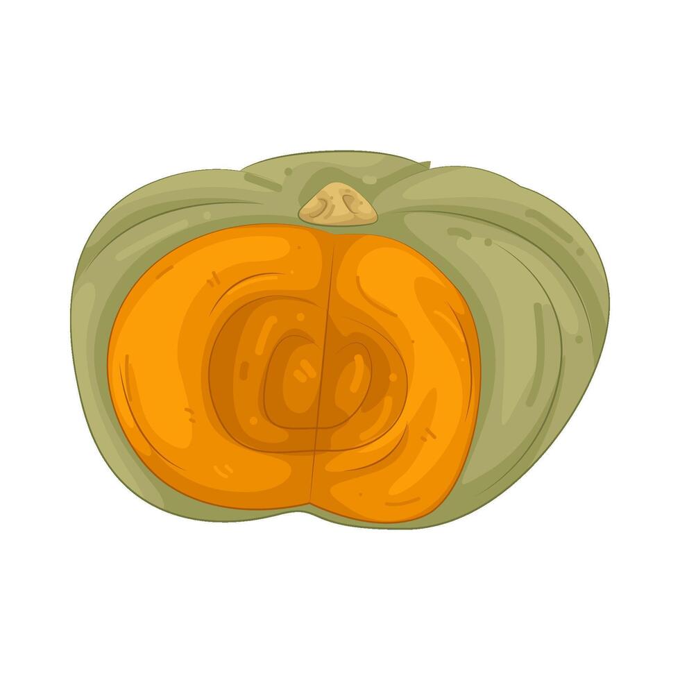 Fresh Pumpkin Illustration vector