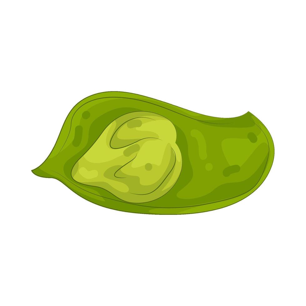 Illustration of Green Chickpea vector