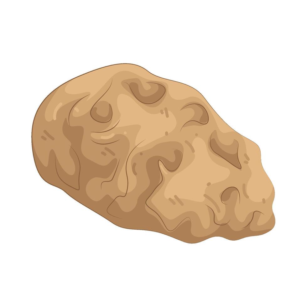 Illustration of Sunchoke vector